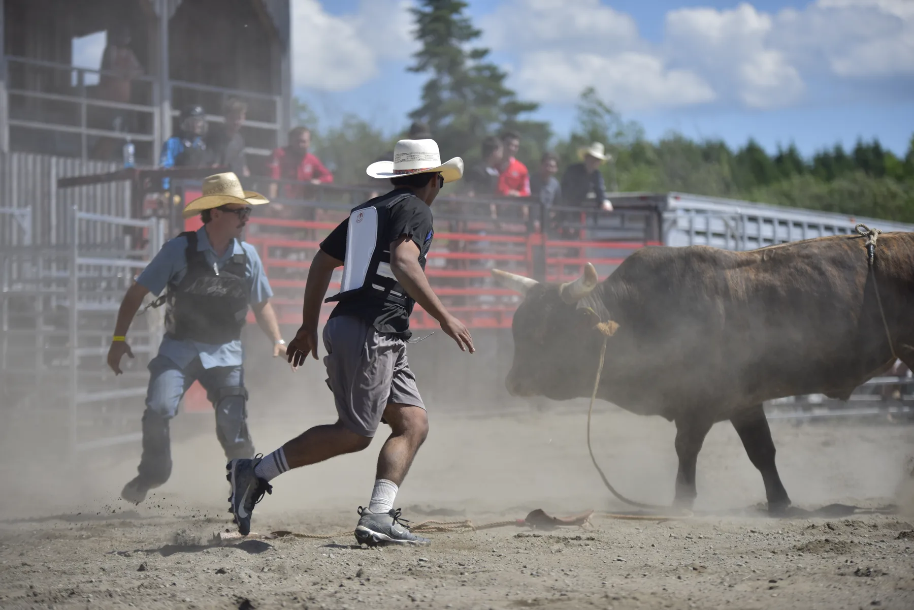Bull rider en action lors de la clinique du 13 juin 2026 au Ranch Gagnon